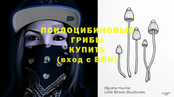 винт Касимов