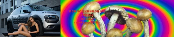mdma Карталы