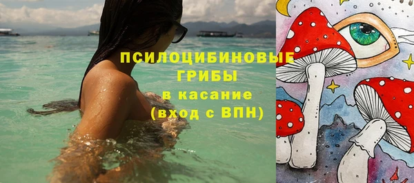 прущая мука Карпинск