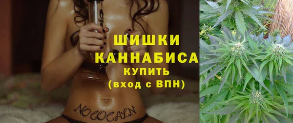 винт Касимов