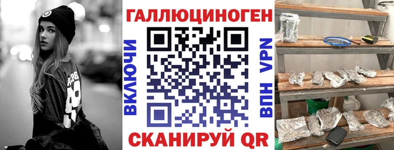 Псилоцибиновые грибы Psilocybine cubensis  Купить закладки  Горно-Алтайск 